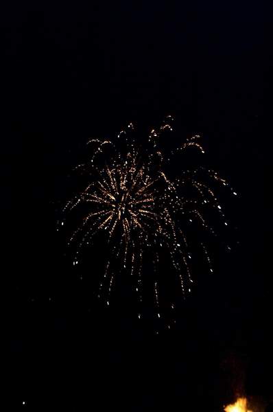 Image-11.jpg (13928 bytes)