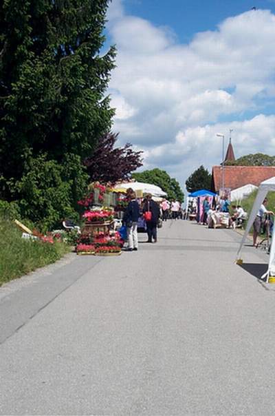 blatti_hom.jpg (34261 octets)